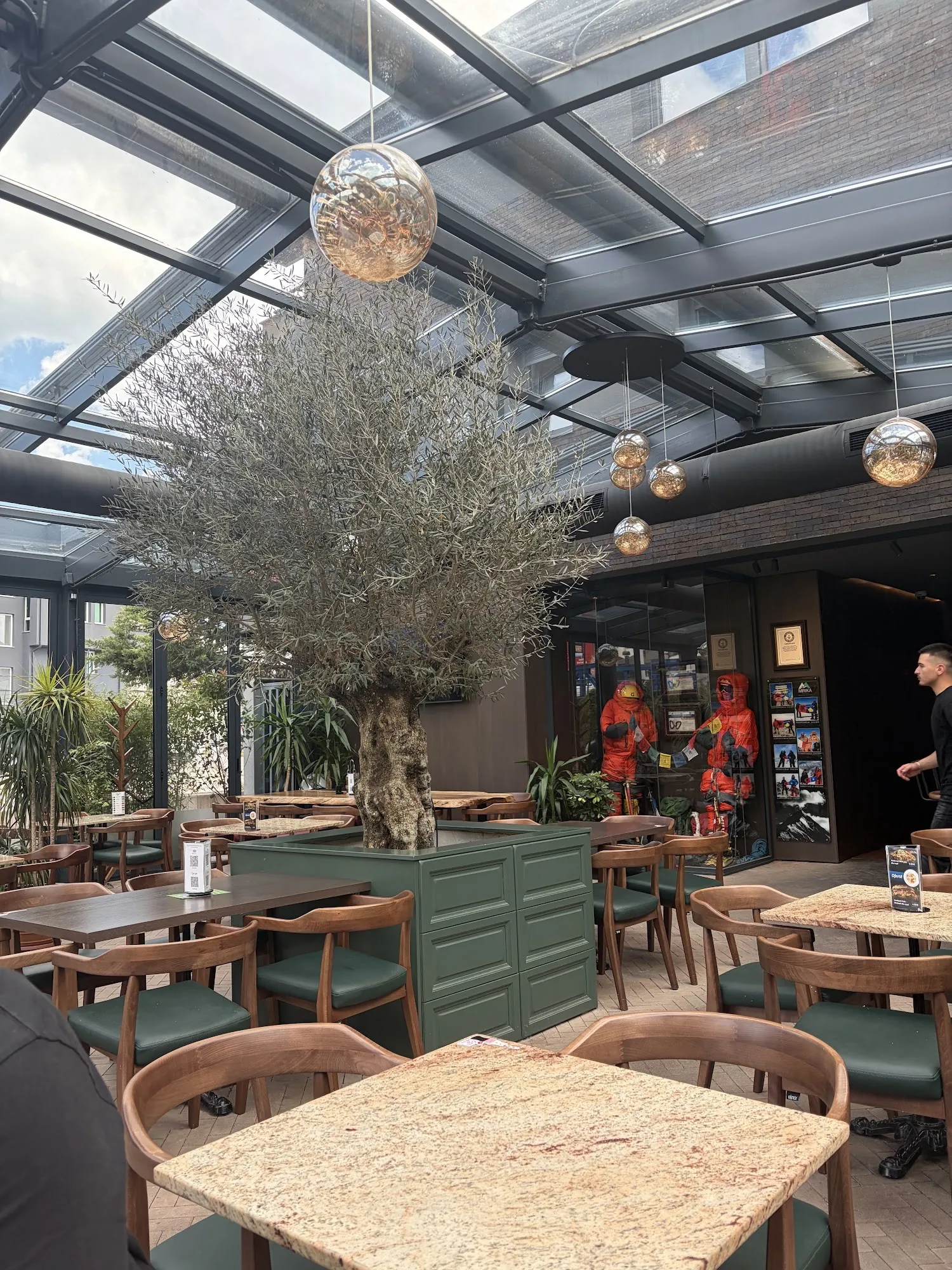 The glass-roofed dining room with an olive tree and hanging lights